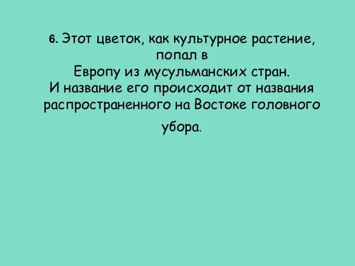 6. Этот цветок, как культурное растение, попал в Европу из мусульманских