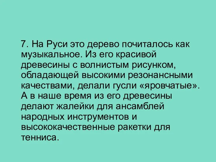 7. На Руси это дерево почиталось как музыкальное. Из его красивой