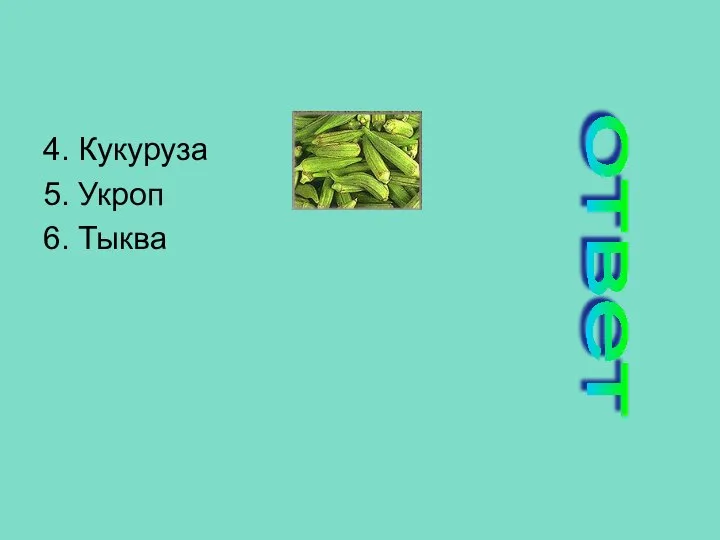 4. Кукуруза 5. Укроп 6. Тыква ответ