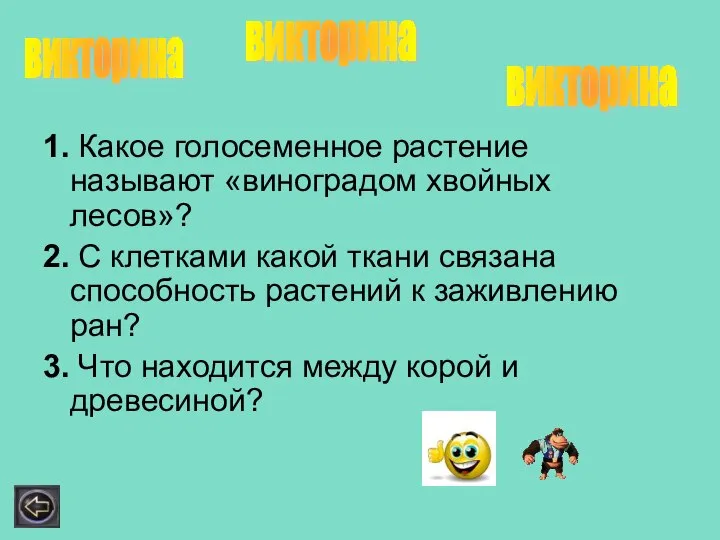 1. Какое голосеменное растение называют «виноградом хвойных лесов»? 2. С клетками