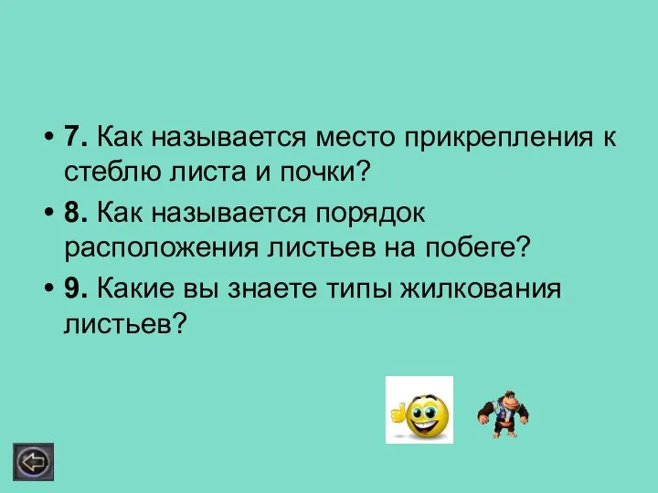 7. Как называется место прикрепления к стеблю листа и почки? 8.