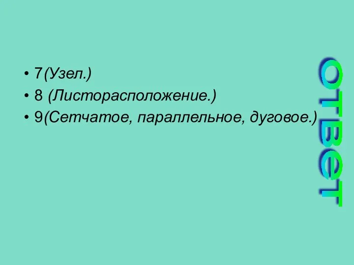 7(Узел.) 8 (Листорасположение.) 9(Сетчатое, параллельное, дуговое.) ответ