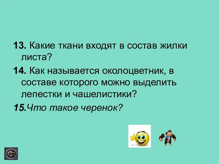 13. Какие ткани входят в состав жилки листа? 14. Как называется