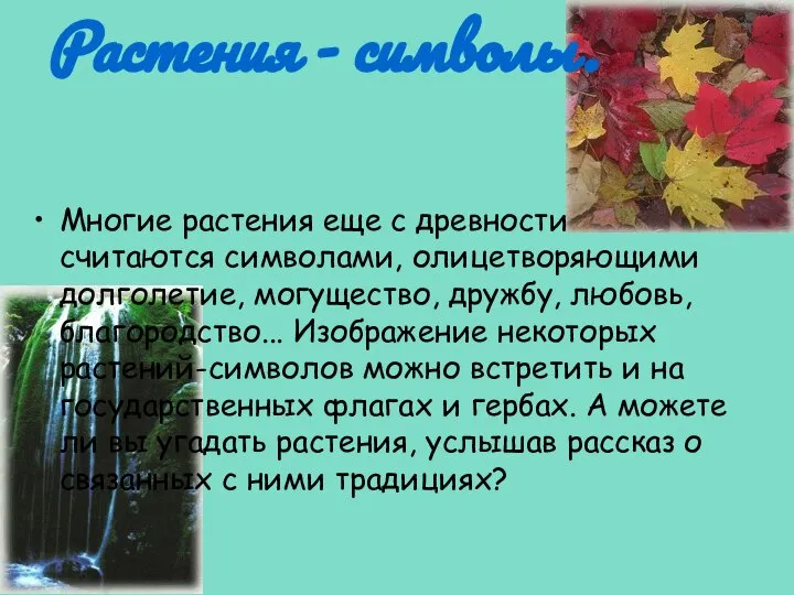 Растения - символы. Многие растения еще с древности считаются символами, олицетворяющими