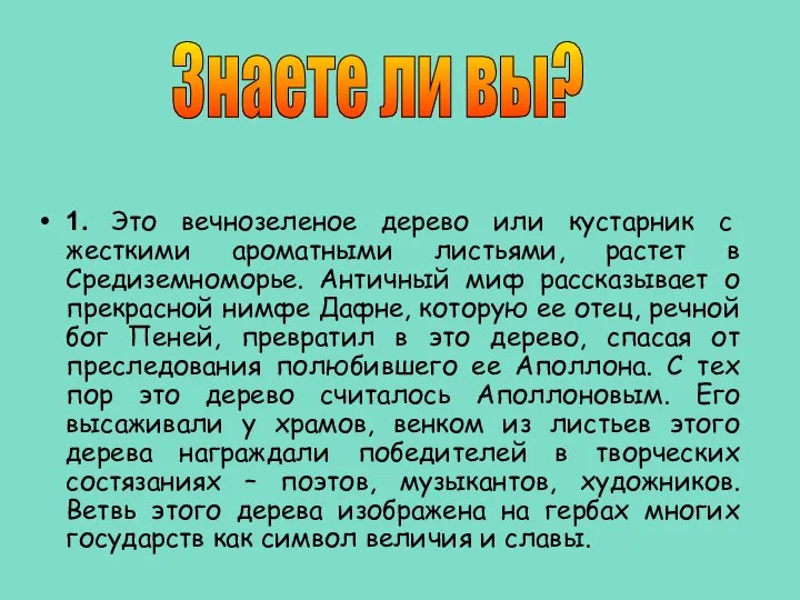 1. Это вечнозеленое дерево или кустарник с жесткими ароматными листьями, растет