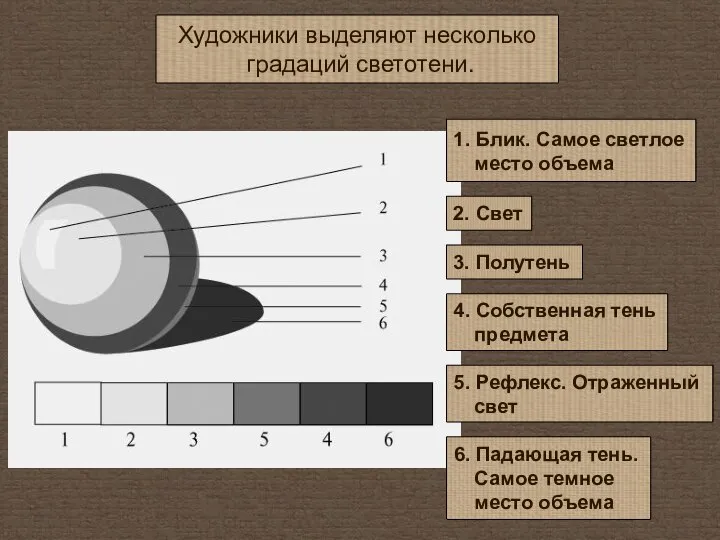 Художники выделяют несколько градаций светотени. 1. Блик. Самое светлое место объема