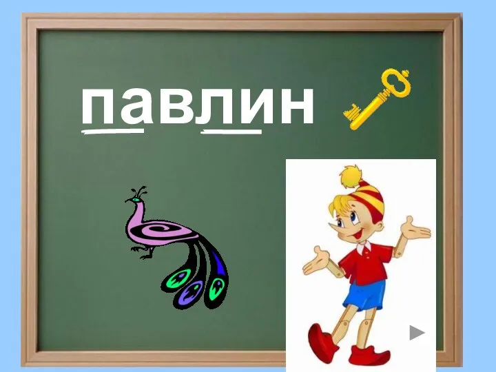 павлин