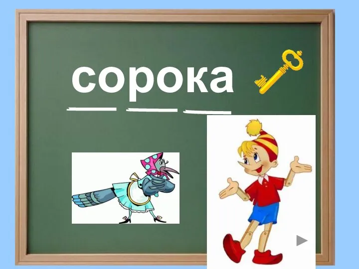 сорока