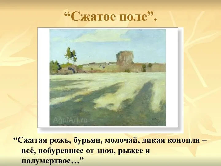 “Сжатое поле”. “Сжатая рожь, бурьян, молочай, дикая конопля – всё, побуревшее от зноя, рыжее и полумертвое…”