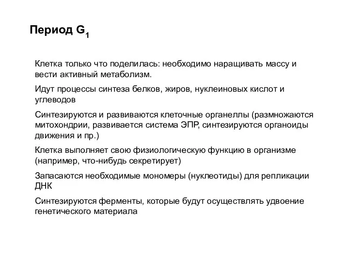 Период G1 Клетка только что поделилась: необходимо наращивать массу и вести