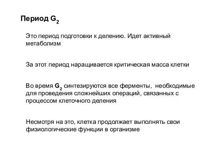 Период G2 Это период подготовки к делению. Идет активный метаболизм За