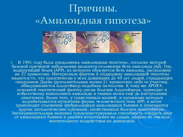 Причины. «Амилоидная гипотеза» В 1991 году была предложена «амилоидная гипотеза», согласно