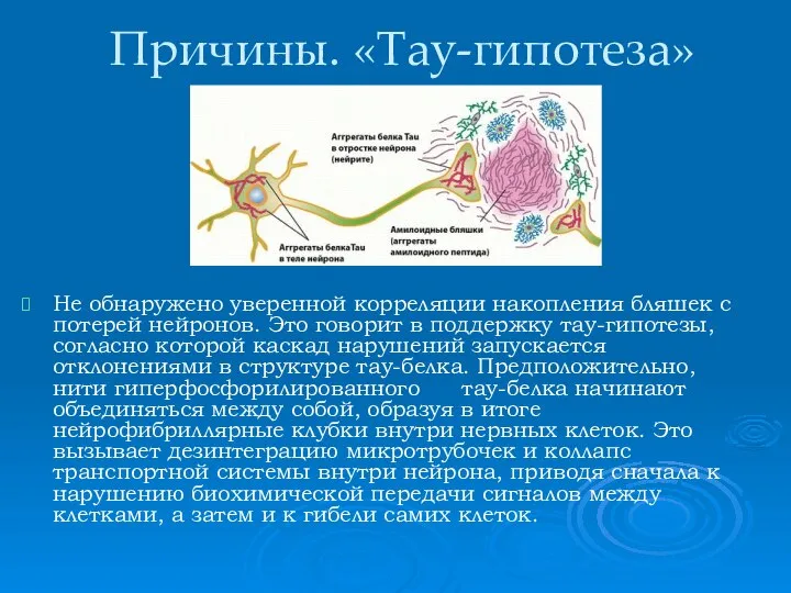 Причины. «Тау-гипотеза» Не обнаружено уверенной корреляции накопления бляшек с потерей нейронов.