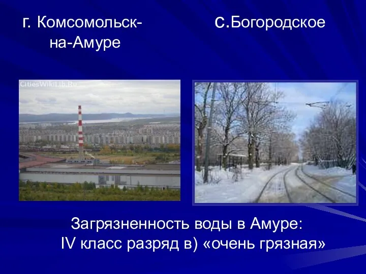 г. Комсомольск- с.Богородское на-Амуре Загрязненность воды в Амуре: IV класс разряд в) «очень грязная»