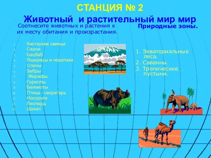 СТАНЦИЯ № 2 Животный и растительный мир мир Соотнесите животных и