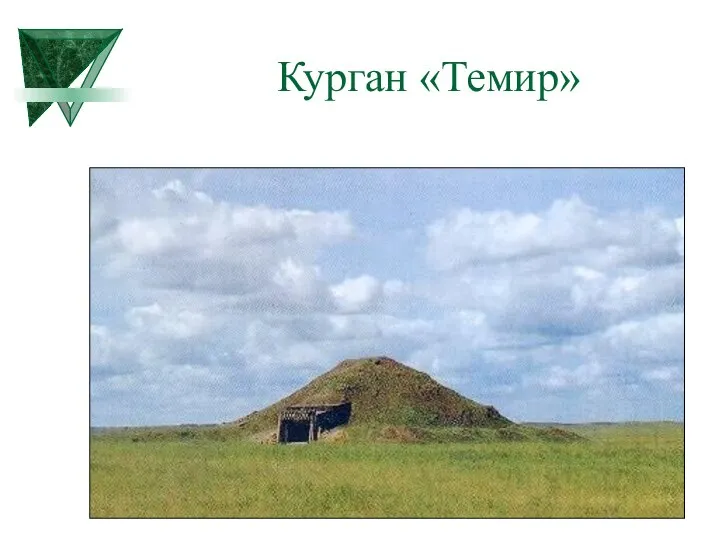 Курган «Темир»