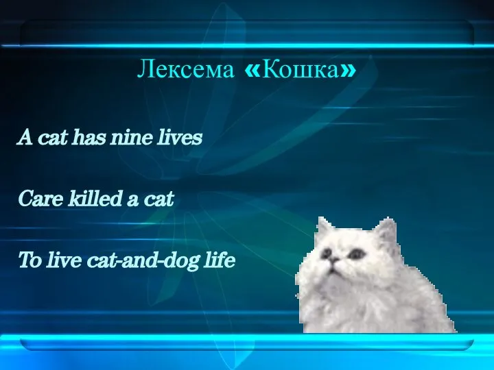 Лексема «Кошка» A cat has nine lives Care killed a cat To live cat-and-dog life