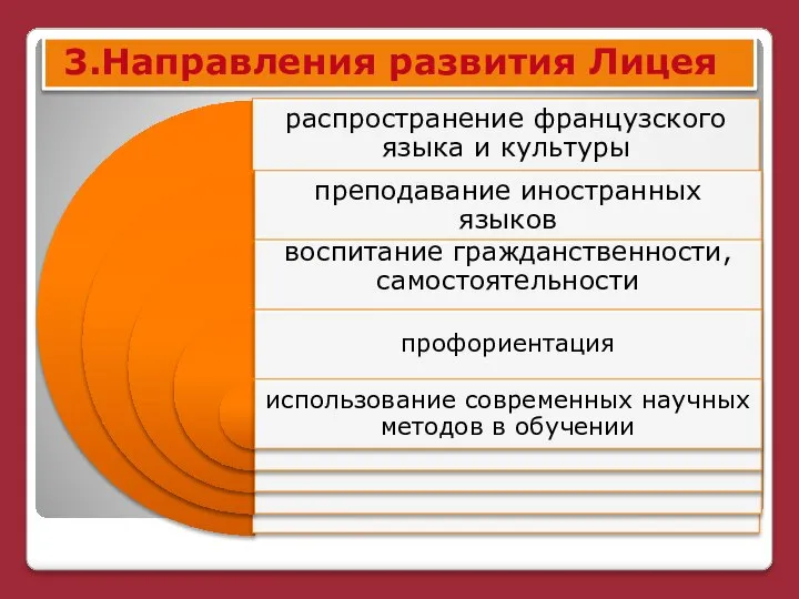 3.Направления развития Лицея