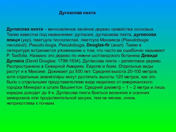 Дугласова пихта Дугласова пихта – вечнозеленое хвойное дерево семейства сосновых. Также