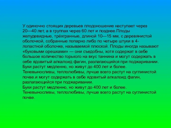 У одиночно стоящих деревьев плодоношение наступает через 20—40 лет, а в