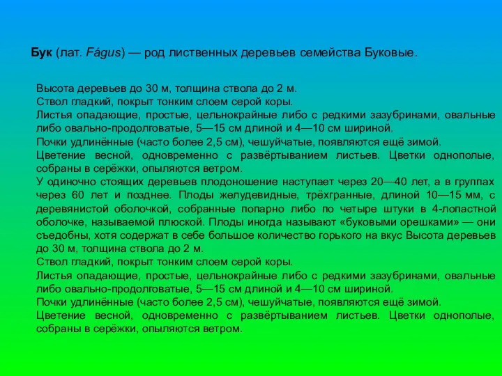 Бук (лат. Fágus) — род лиственных деревьев семейства Буковые. Высота деревьев