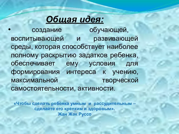 Общая идея: создание обучающей, воспитывающей и развивающей среды, которая способствует наиболее