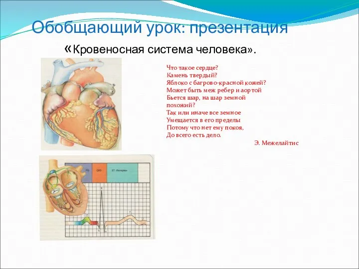Обобщающий урок: презентация «Кровеносная система человека». Что такое сердце? Камень твердый?