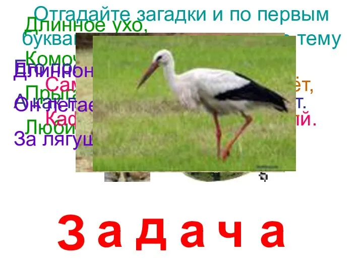 Отгадайте загадки и по первым буквам слов-отгадок узнаете тему урока. Длинное