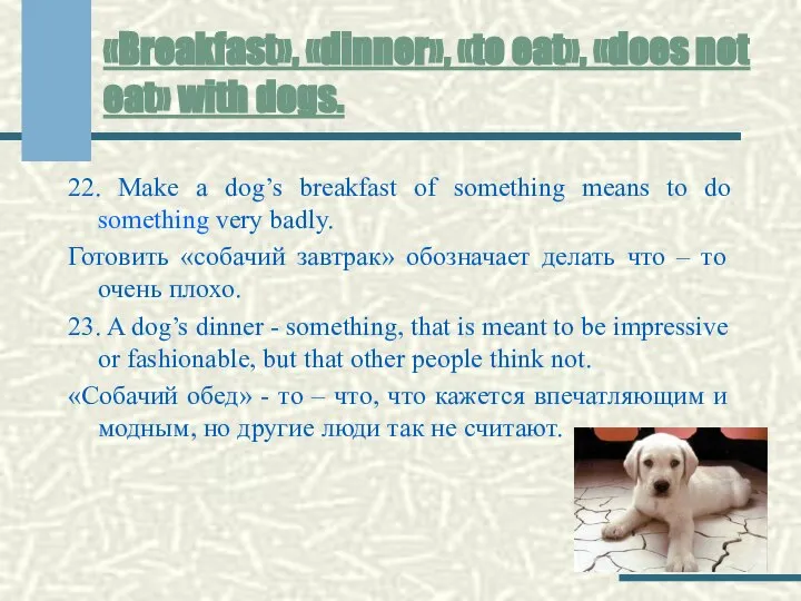 «Breakfast», «dinner», «to eat», «does not eat» with dogs. 22. Make