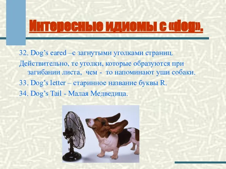 Интересные идиомы с «dog». 32. Dog’s earеd –с загнутыми уголками страниц.