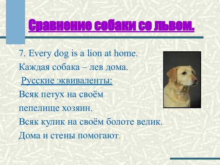 Сравнение собаки со львом. 7. Every dog is a lion at