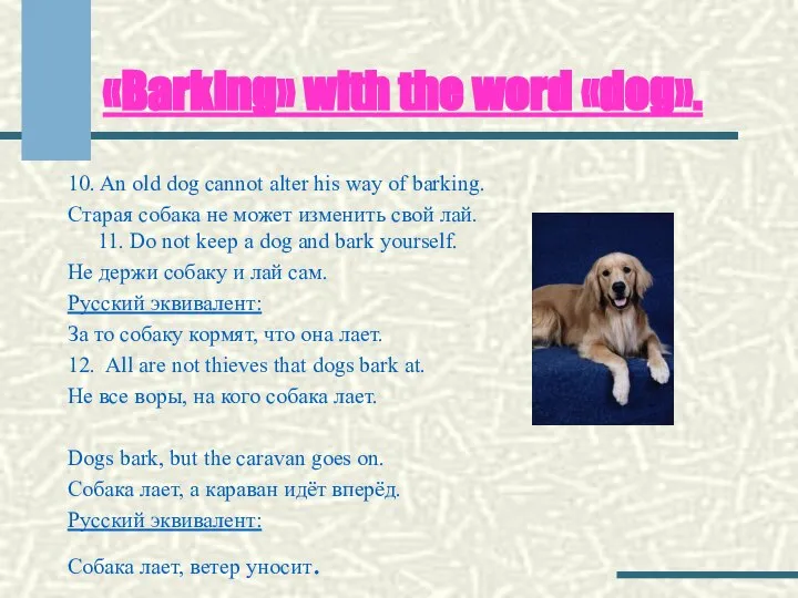 «Barking» with the word «dog». 10. An old dog cannot alter