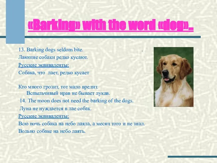 «Barking» with the word «dog».. 13. Barking dogs seldom bite. .