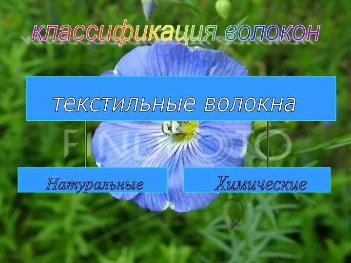 классификация волокон