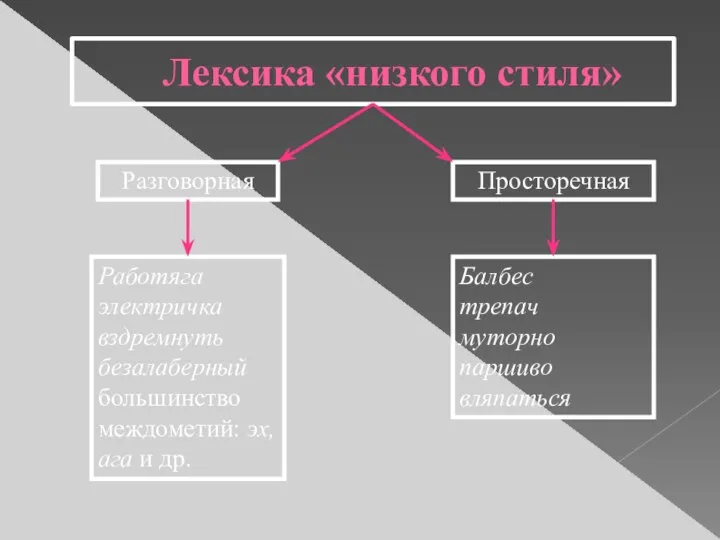 Лексика «низкого стиля» Разговорная Просторечная Работяга электричка вздремнуть безалаберный большинство междометий: