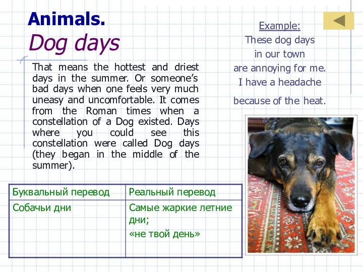 Animals. Dog days That means the hottest and driest days in