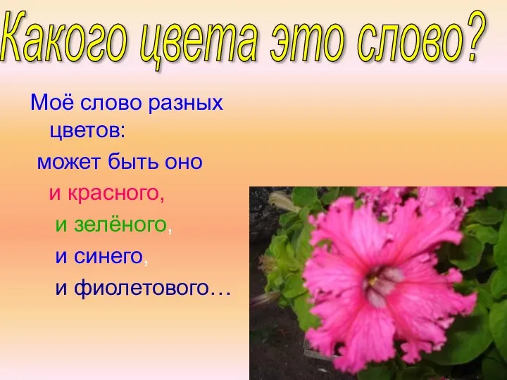 Моё слово разных цветов: может быть оно и красного, и зелёного,