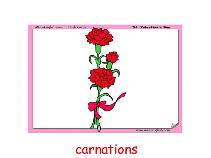 carnations