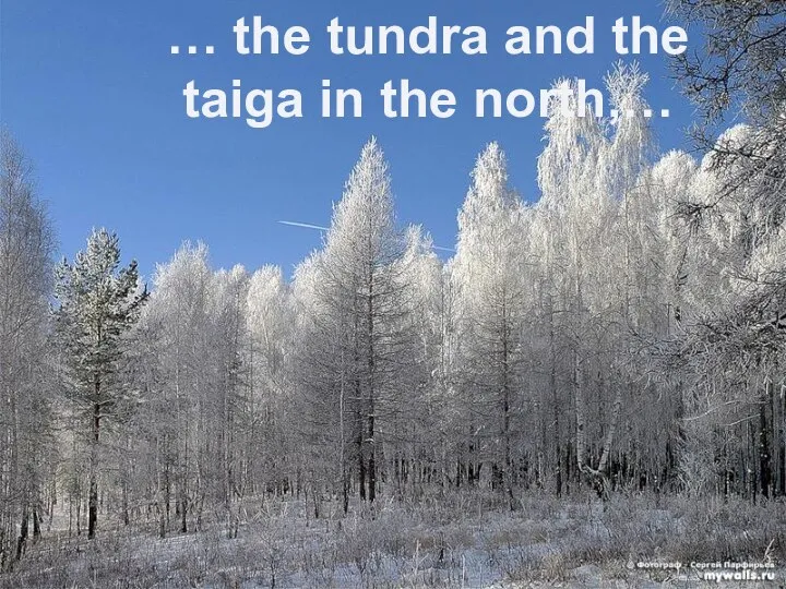 … the tundra and the taiga in the north,…