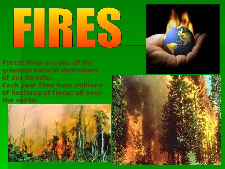 FIRES Forest fires are one of the greatest natural destroyers of