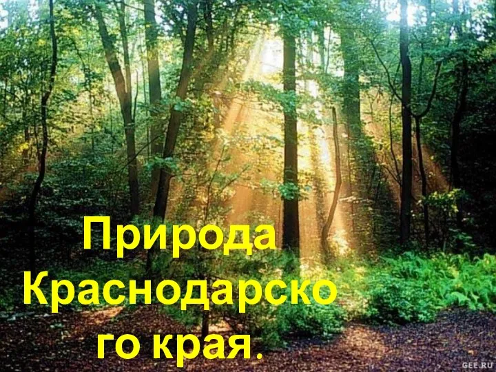 Природа Краснодарского края.