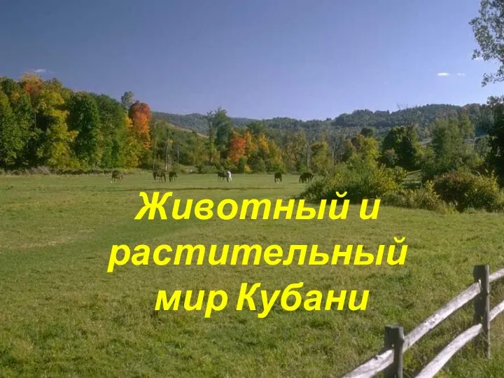 Животный и растительный мир Кубани