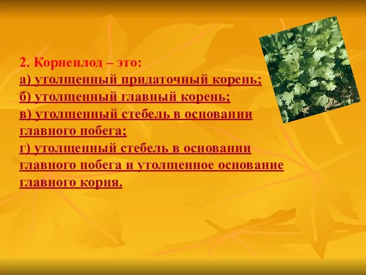 2. Корнеплод – это: а) утолщенный придаточный корень; б) утолщенный главный