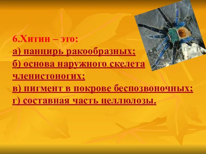 6.Хитин – это: а) панцирь ракообразных; б) основа наружного скелета членистоногих;