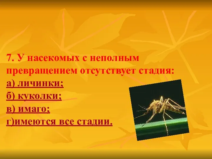 7. У насекомых с неполным превращением отсутствует стадия: а) личинки; б)