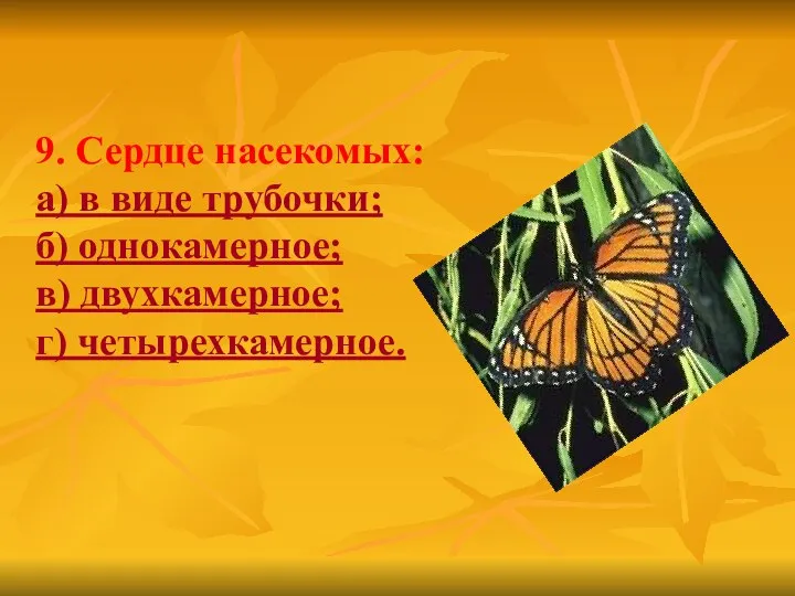 9. Сердце насекомых: а) в виде трубочки; б) однокамерное; в) двухкамерное; г) четырехкамерное.