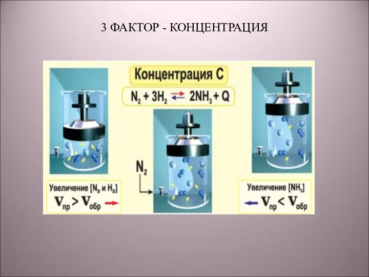 3 ФАКТОР - КОНЦЕНТРАЦИЯ