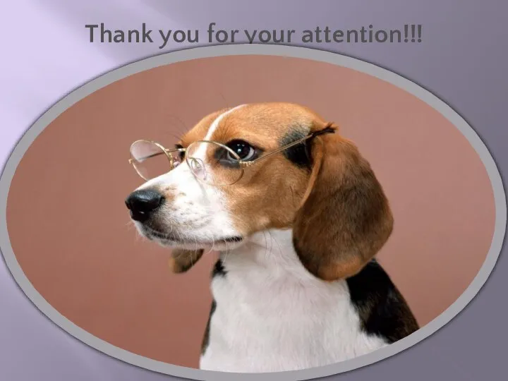 Thank you for your attention!!!