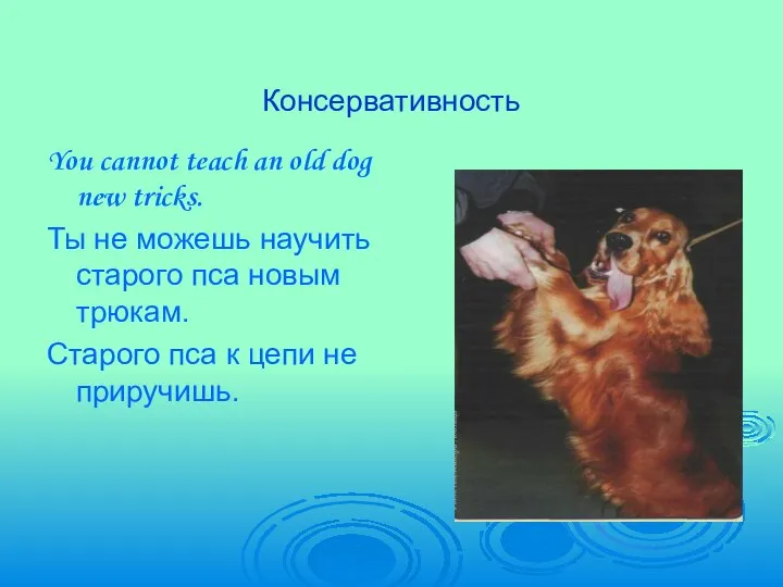 Консервативность You cannot teach an old dog new tricks. Ты не