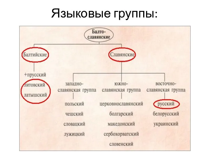 Языковые группы: